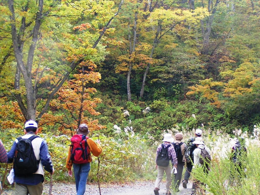 Madarao Elm Pension Iiyama Exteriör bild