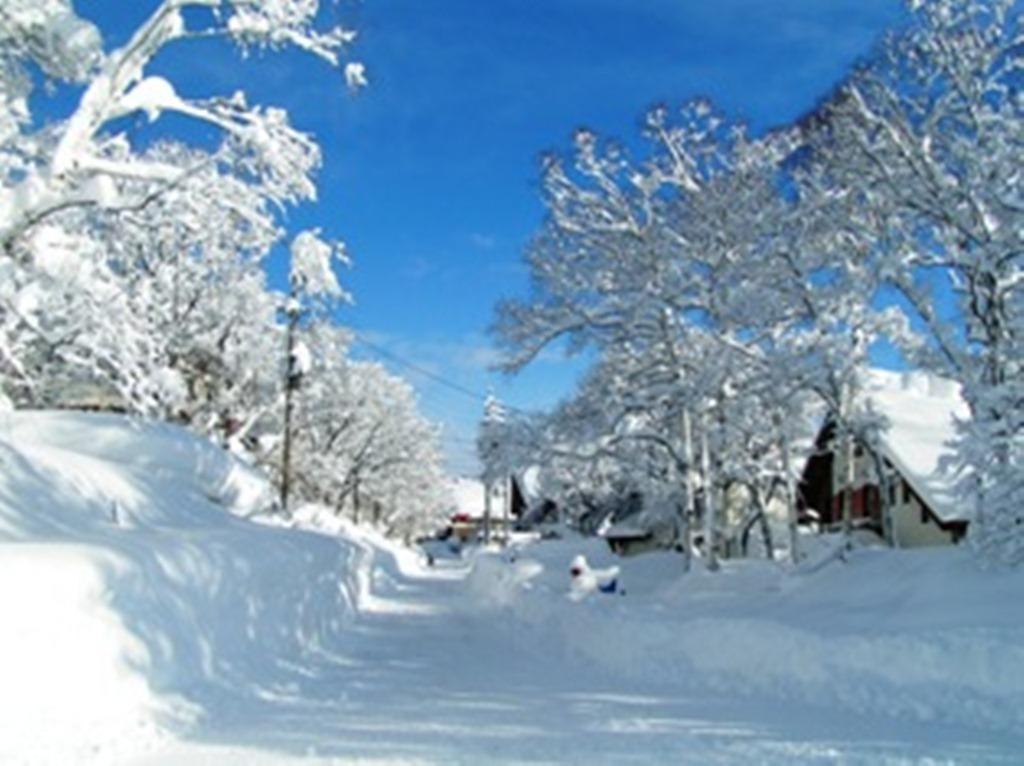 Madarao Elm Pension Iiyama Exteriör bild