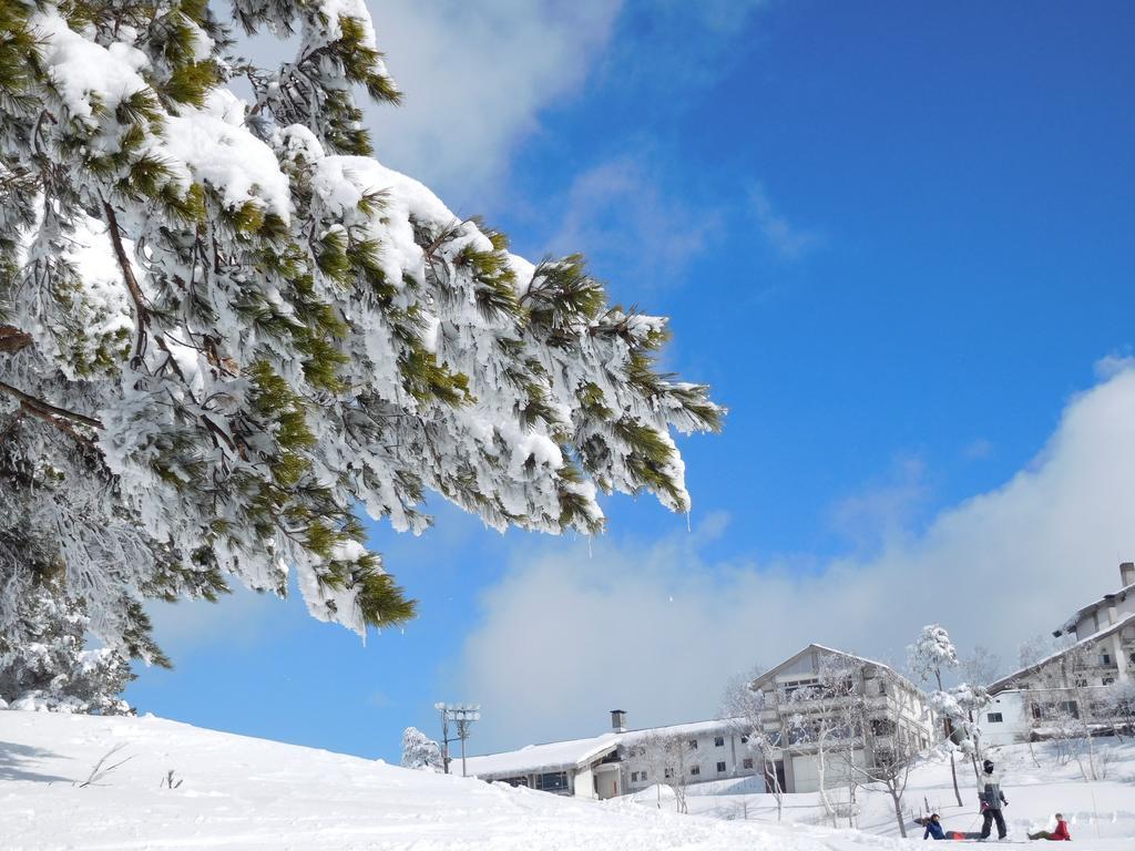 Madarao Elm Pension Iiyama Exteriör bild